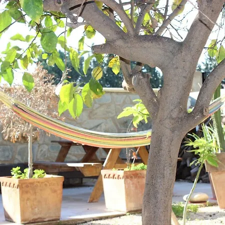 Apartman Aloe Vera Holiday Paphos